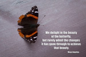 butterfly-quote